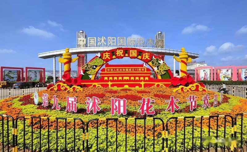 电子商务究竟是什么?在数字化时代,它已经成为了我们生活中不可或缺的一部分。